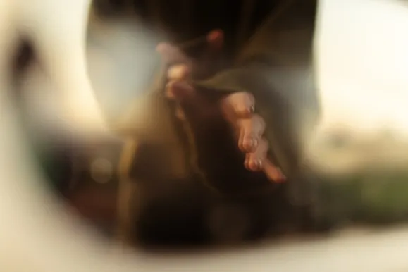 カジノ ロイヤル スロッツ サポート